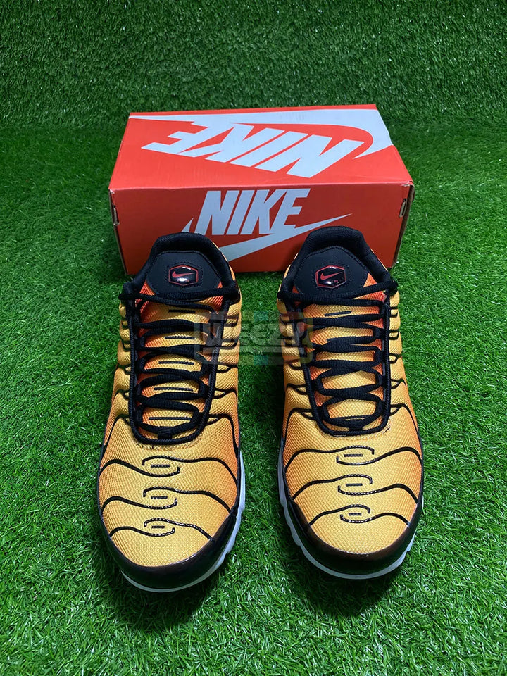 Airmax Plus (Tiger) buy online Pakistan - Weeby Shoes