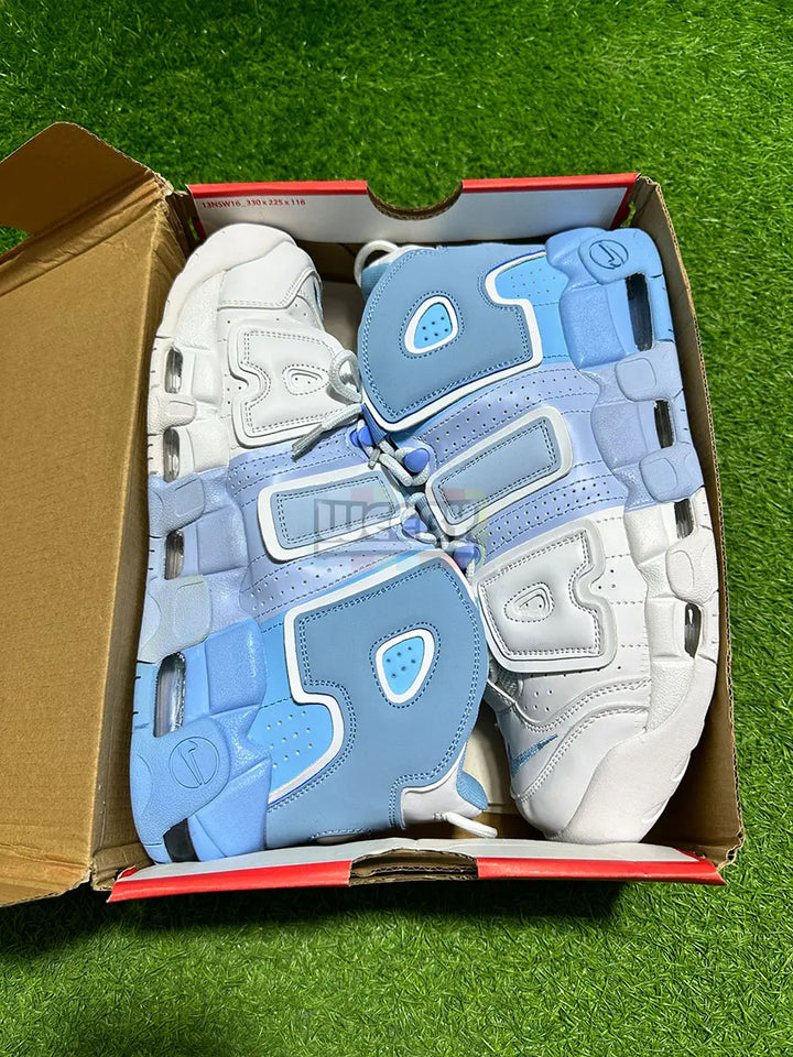 Uptempo (Tri color)(W/Blue)(Premium Quality) buy online Pakistan - Weeby Shoes